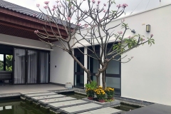 THE-PINWHEEL-HOUSE-09